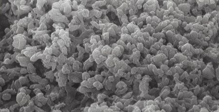 Rasterelektronische Mikroskopaufnahme von Mikroorganismenaufwuchs auf einem Blähton-Korn (5030fache Vergrößerung) einer CO-oxidierenden Laborkultur (c) Martin Wellacher